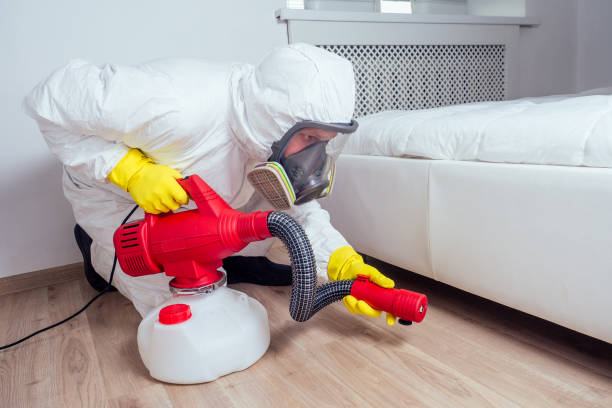 Best Mosquito Control Services  in Port Richey, FL