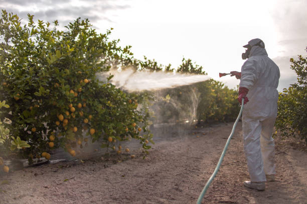 Best Pest Control for Businesses  in Port Richey, FL