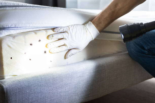 Best Pest Control Treatment  in Port Richey, FL