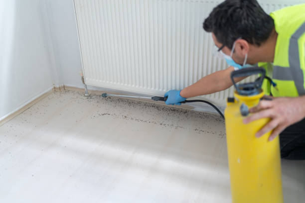 Pest Control Cost in Port Richey, FL