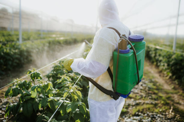 Trusted Port Richey, FL Pest Control Experts